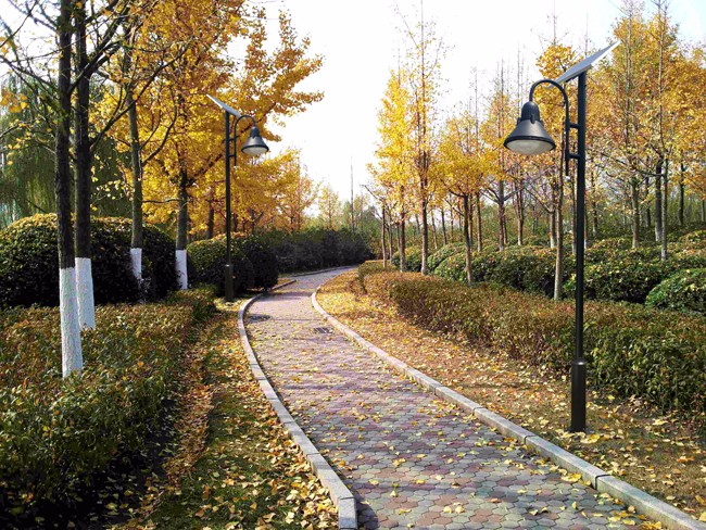 黑色簡約太陽能景觀燈|太陽能庭院燈-河南蘇亞新能源科技有限公司 黑色簡約太陽能景觀燈|太陽能庭院燈-河南蘇亞新能源科技有限公司