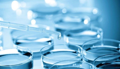 專利變現(xiàn)還是技術(shù)突圍？熱景生物科創(chuàng)板IVD首秀背后的市場考驗(yàn)